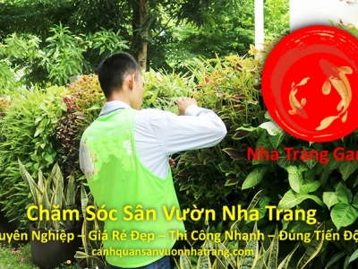 Chăm Sóc Sân Vườn Nha Trang