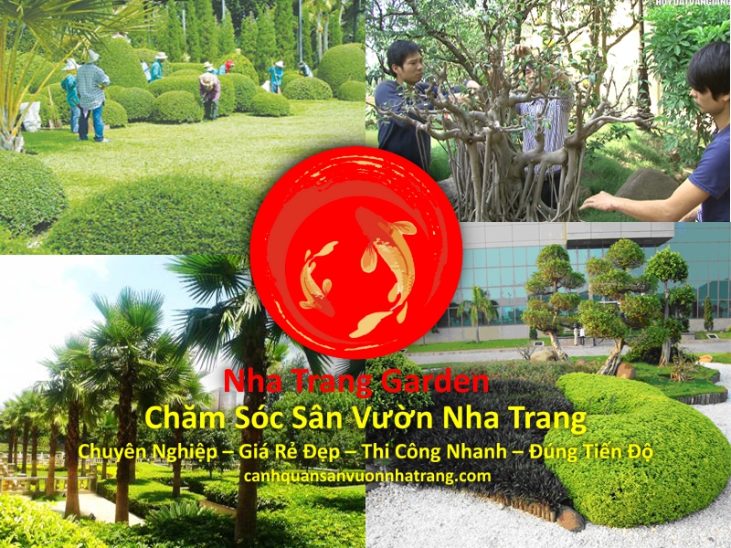 Chăm Sóc Sân Vườn Nha Trang Chuyên Nghiệp Uy Tín