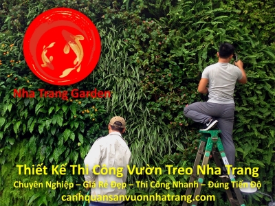 Thiết Kế Vườn Treo Vườn Tường Đứng Nha Trang