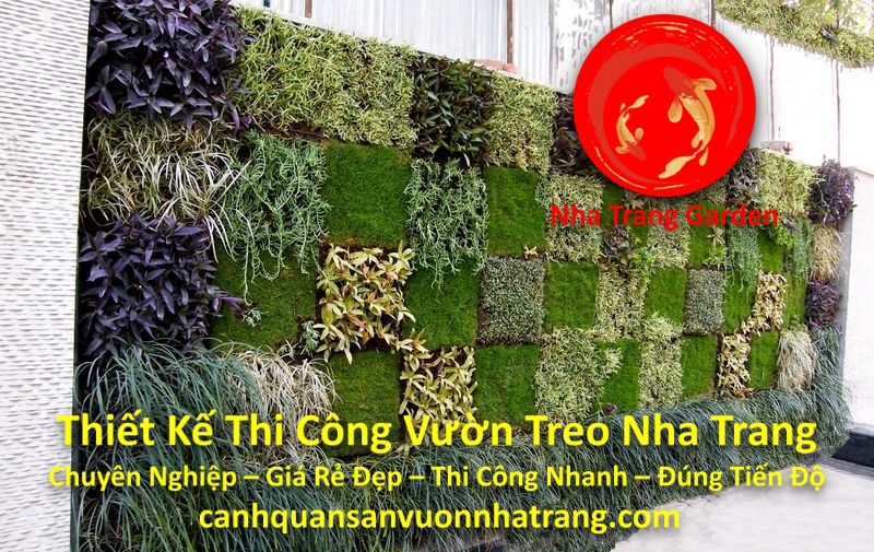 Dịch Vụ Thiết Kế Vườn Treo Vườn Tường Đứng Nha Trang