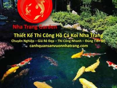 Thiết Kế Thi Công Hồ Cá Koi Nha Trang