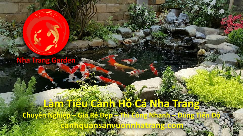 Dịch Vụ Làm Tiểu Cảnh Hồ Cá Nha Trang Uy Tín Chuyên Nghiệp