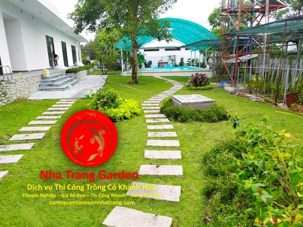 Thi Công Trồng Cỏ Khánh Hòa Giá Rẻ Nhất