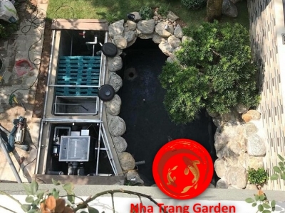 Thi Công Hệ Thống Lọc Hồ Cá Koi Nha Trang