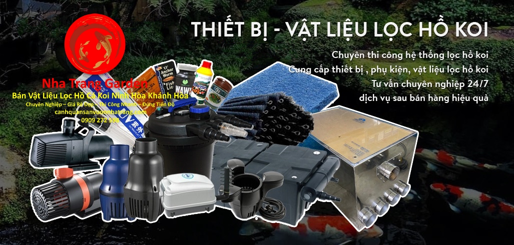 Địa Chỉ Bán Vật Liệu Lọc Hồ Cá Koi Ninh Hòa Khánh Hòa Giá Rẻ Uy Tín Địa Chỉ Bán Vật Liệu Lọc Hồ Cá Koi Ninh Hòa Khánh Hòa Giá Rẻ Uy Tín