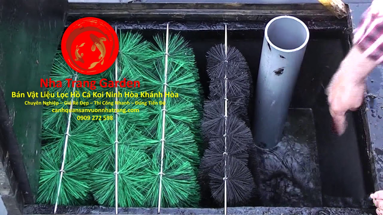 Địa Chỉ Bán Vật Liệu Lọc Hồ Cá Koi Ninh Hòa Khánh Hòa Giá Rẻ Địa Chỉ Bán Vật Liệu Lọc Hồ Cá Koi Ninh Hòa Khánh Hòa Giá Rẻ