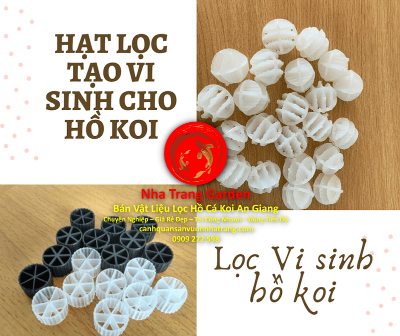 Cửa Hàng Bán Vật Liệu Lọc Hồ Cá Koi An Giang Giá Rẻ Uy Tín Chất Lượng Cao Cửa Hàng Bán Vật Liệu Lọc Hồ Cá Koi An Giang Giá Rẻ Uy Tín Chất Lượng Cao