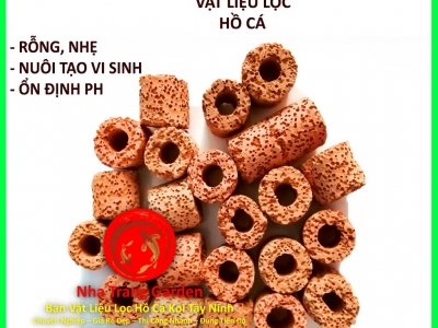 Bán Vật Liệu Lọc Hồ Cá Koi Tây Ninh