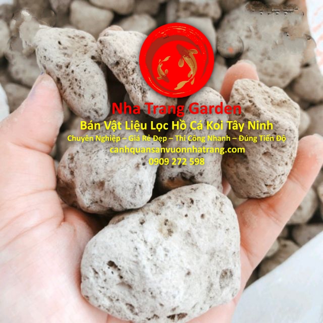 Cửa Hàng Bán Vật Liệu Lọc Hồ Cá Koi Tây Ninh Uy Tín Giá Rẻ Chất Lượng Cao Cửa Hàng Bán Vật Liệu Lọc Hồ Cá Koi Tây Ninh Uy Tín Giá Rẻ Chất Lượng Cao