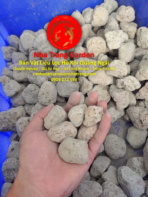 Cửa Hàng Bán Vật Liệu Lọc Hồ Cá Koi Quảng Ngãi Chất Lượng Cao Cửa Hàng Bán Vật Liệu Lọc Hồ Cá Koi Quảng Ngãi Chất Lượng Cao