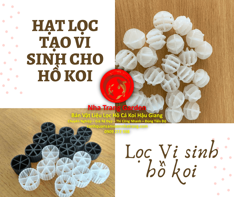 Shop Bán Vật Liệu Lọc Hồ Cá Koi Hậu Giang Giá Rẻ Uy Tín Chất Lượng Cao Shop Bán Vật Liệu Lọc Hồ Cá Koi Hậu Giang Giá Rẻ Uy Tín Chất Lượng Cao