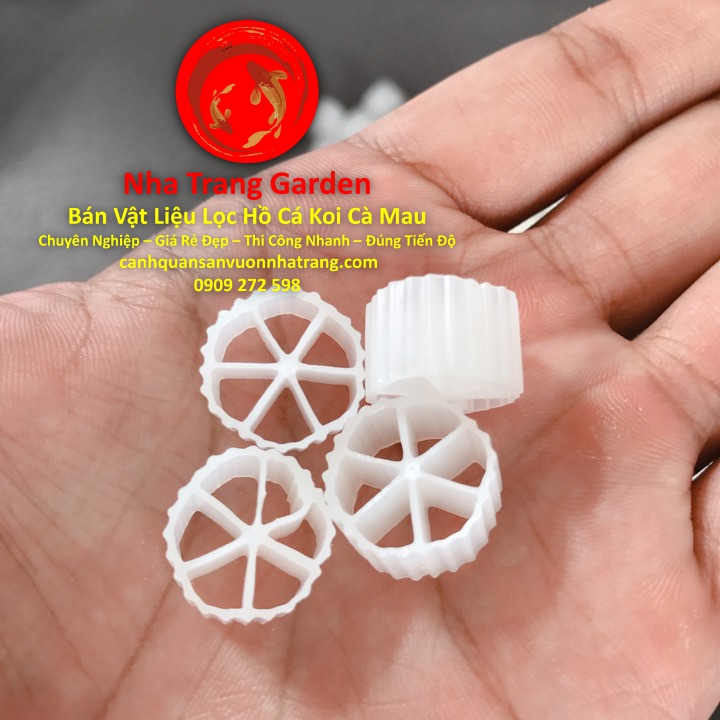 Cửa Hàng Bán Vật Liệu Lọc Hồ Cá Koi Cà Mau GIá Rẻ Uy Tín Chất Lượng Cao Cửa Hàng Bán Vật Liệu Lọc Hồ Cá Koi Cà Mau GIá Rẻ Uy Tín Chất Lượng Cao