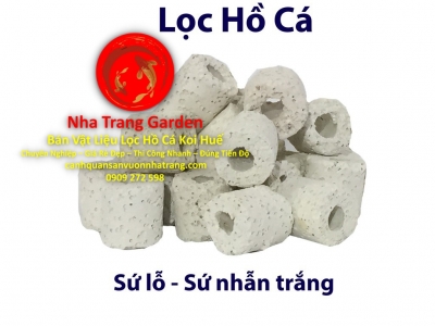 Bán Vật Liệu Lọc Hồ Cá Koi Huế