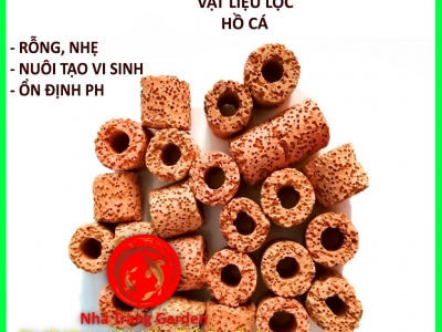 Bán Vật Liệu Lọc Hồ Koi Phan Thiết Bình Thuận